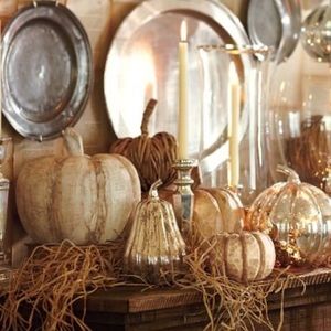 Pottery Barn Handcrafted Carved Wooden Pumpkin Box Cloche Rare New